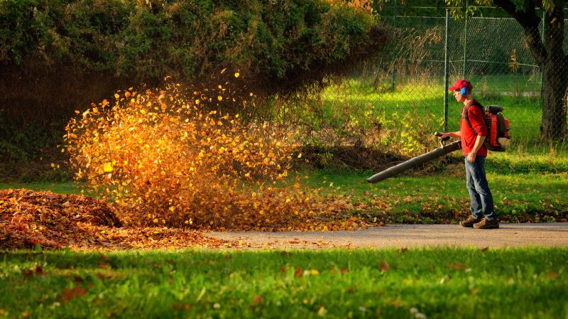 Leaf Blowing for Quick Cleanup