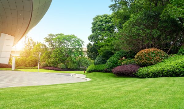 Cost of Commercial Lawn Mowing in Buford