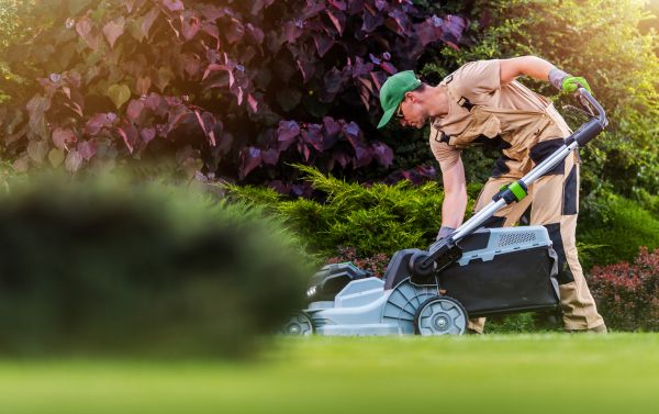 Lawn Care And Maintenance in Buford