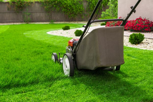 Cost of Lawn Mowing in Buford