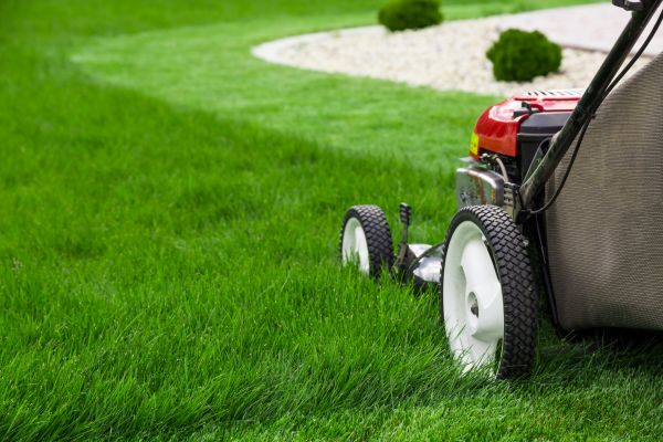 Mowing Service in Buford