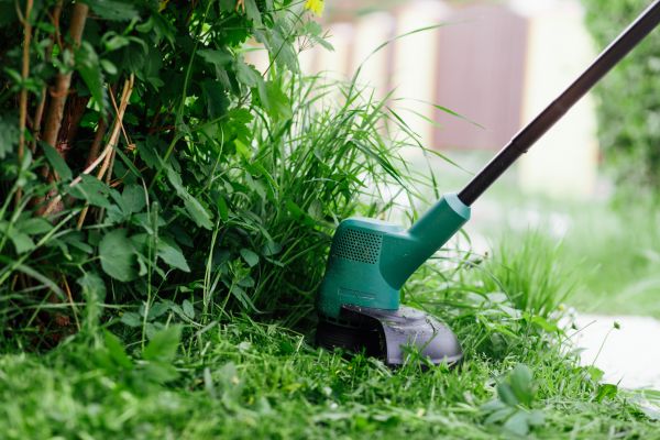 Weed Whacking in Buford