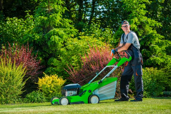 Cost of Yard Work Service in Buford
