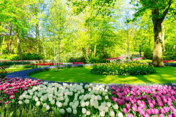 Spring Lawn Care in Buford