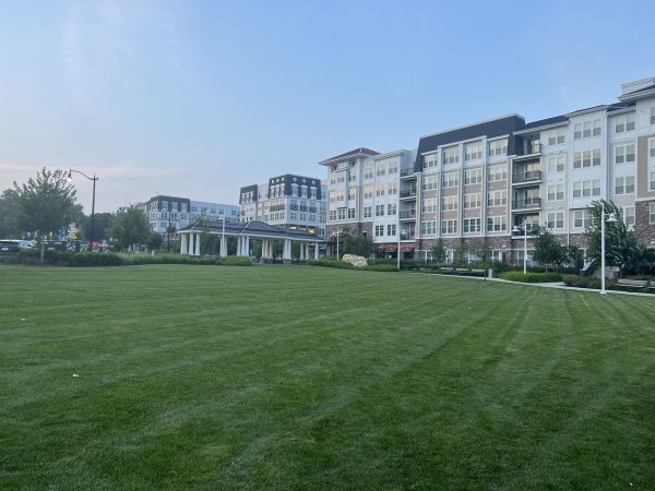 Cost of Urban Lawn Care in Buford