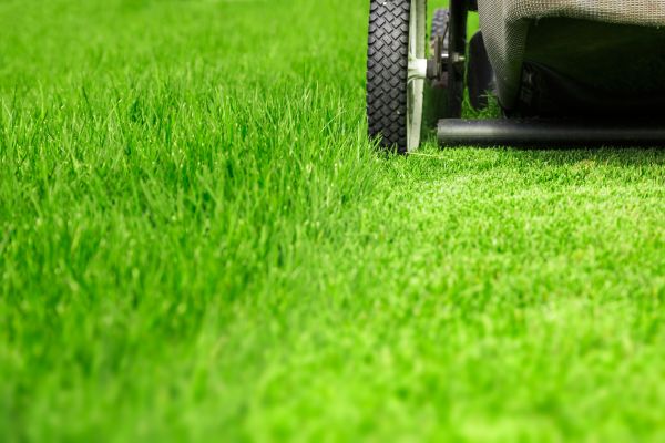 Cost of Weekly Lawn Care in Buford