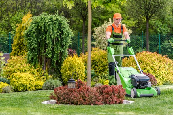 Cost of Commercial Yard Maintenance in Buford