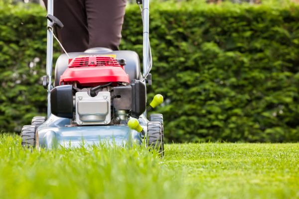 Grass Trimming Service in Buford