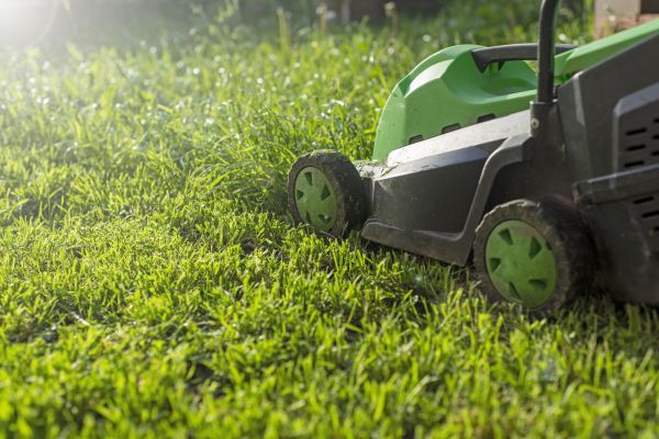 Cost of Yard Trimming in Buford