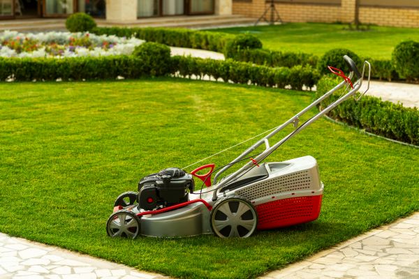 Cost of Business Grass Cutting in Buford