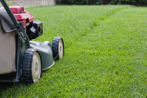 Spring Lawn Maintenance in Buford